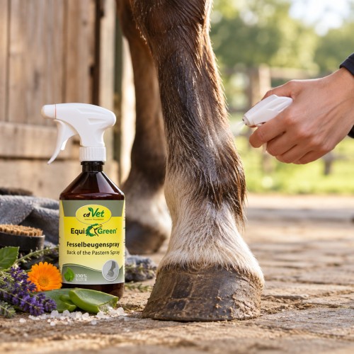 EquiGreen Fesselbeugenspray – naturalna pielęgnacja skóry pęcin konia.jpg