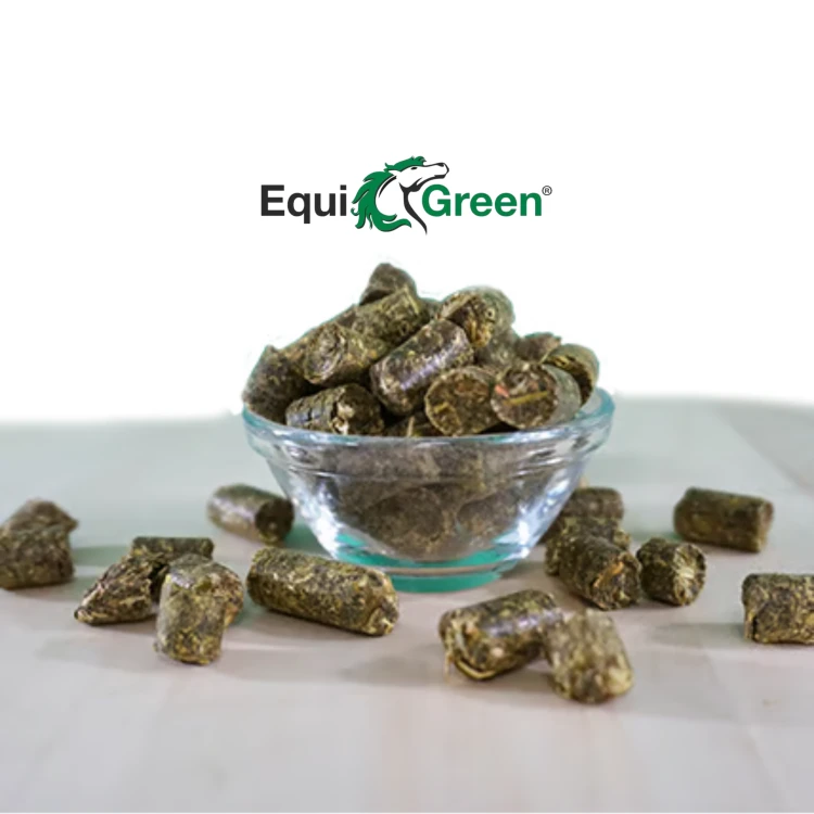 EquiGreen Bio-KräuterGrün Leckerlis – naturalne BIO przysmaki z ziołami dla koni.png