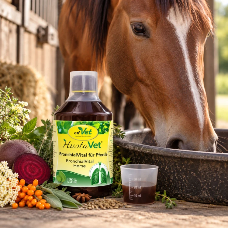 HustaVet BronchialVital Pferd – naturalny syrop wspierający oskrzela i drogi oddechowe konia  cdVet.jpg