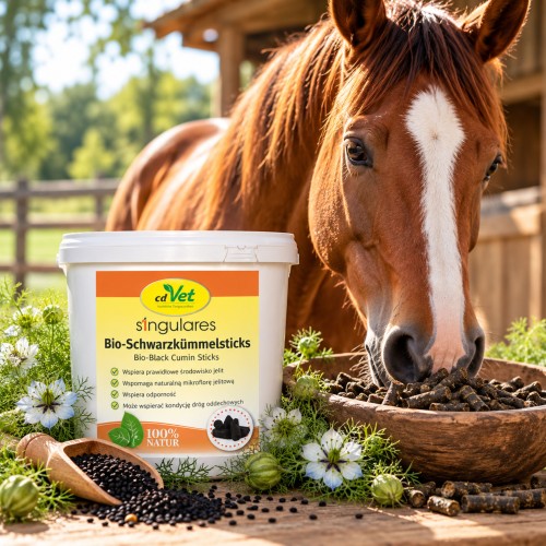 Singulares Bio-Schwarzkümmelsticks 2.5 kg – BIO czarnuszka dla jelit, odporności i dróg oddechowych  cdVet (1).jpg