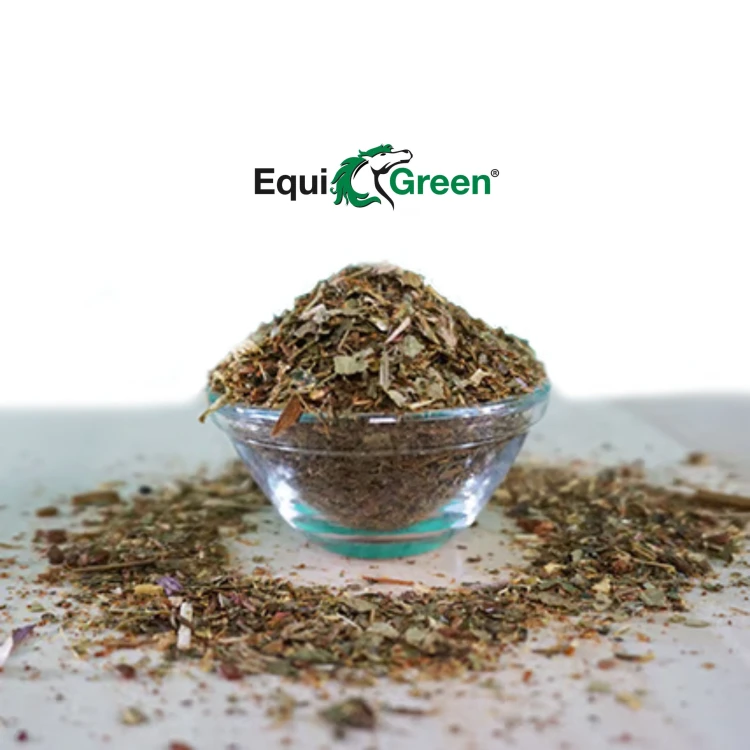 EquiGreen HufFitness – naturalne wsparcie wzrostu i kondycji kopyt z biotyną  cdVet.jpg