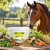 ArthroGreen Horse – kompleksowe wsparcie stawów, chrząstki, ścięgien i więzadeł konia  cdVet.jpg