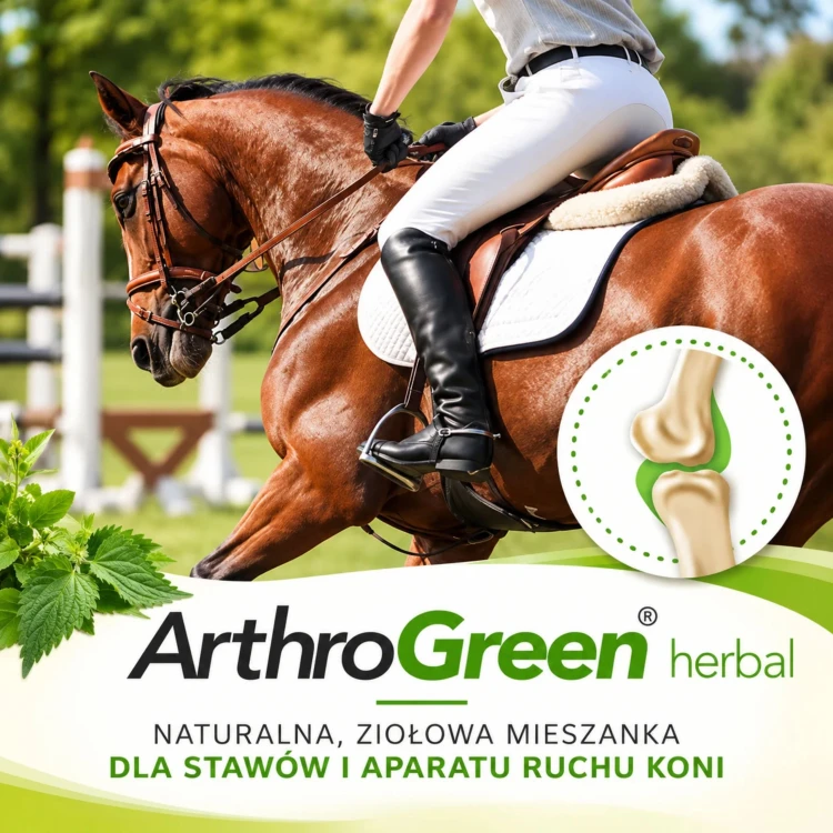 ArthroGreen Horse – kompleksowe wsparcie stawów, chrząstki, ścięgien i więzadeł koni _ cdVet (2).jpg