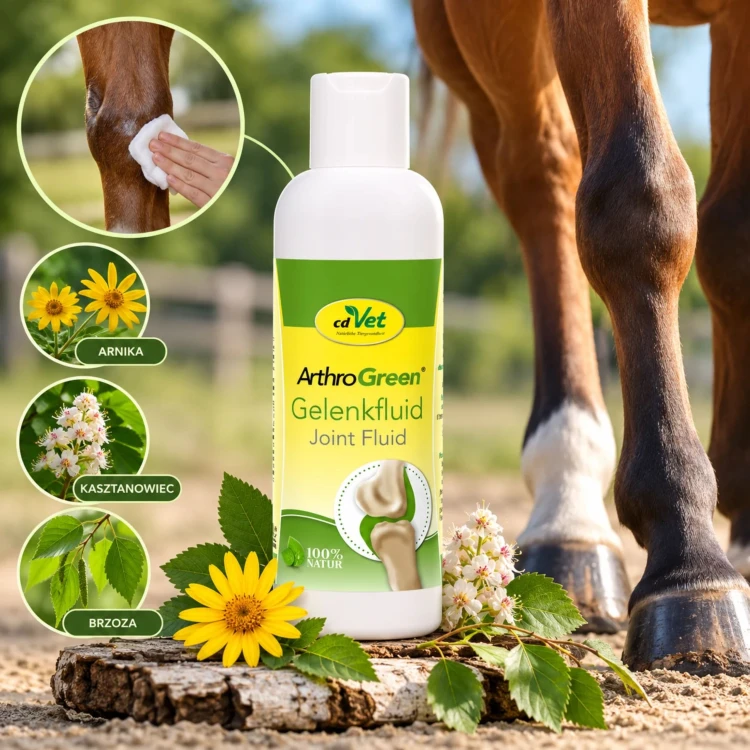 cdVet ArthroGreen Gelenkfluid 200 ml – ziołowa wcierka do pielęgnacji stawów i ścięgien koni (1).jpg