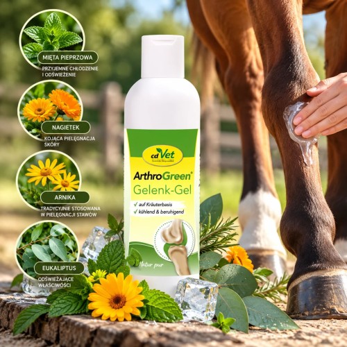 cdVet ArthroGreen Gelenk-Gel 200 ml – chłodzący żel do pielęgnacji stawów, ścięgien i więzadeł koni.jpg