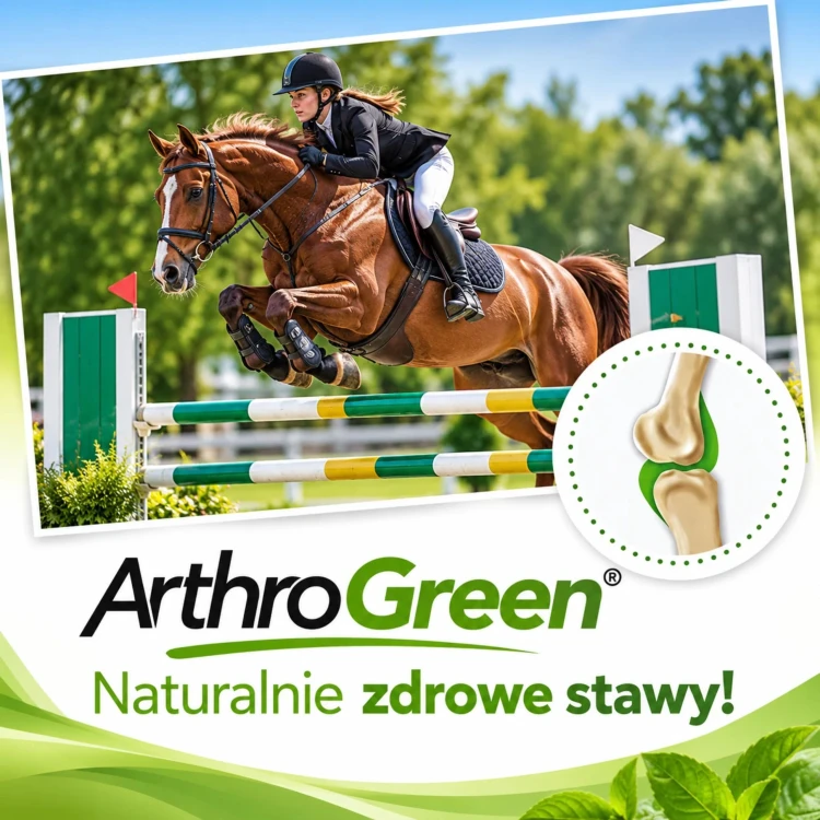 cdVet ArthroGreen Sport – zaawansowane wsparcie stawów, ścięgien i więzadeł koni sportowych (2).jpg