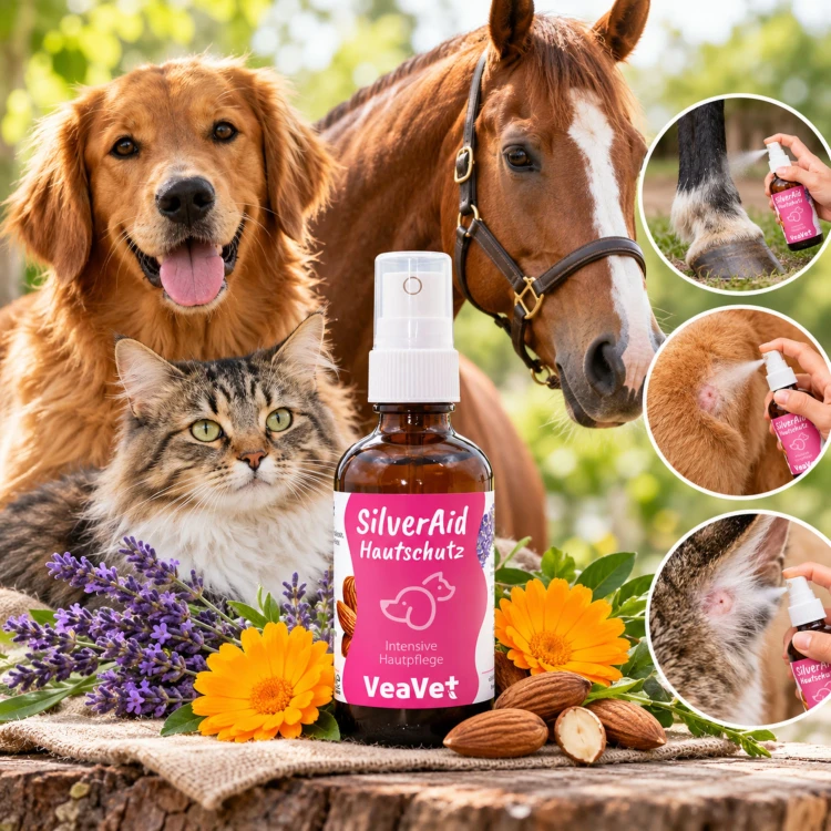 cdVet SilverAid Skin Protect – specjalistyczna pielęgnacja skóry ze srebrem mikronizowanym.jpg