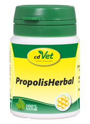 a4f07e249dcb8afd7bd153e8a4e25eb8e1612e1f