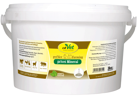 45db47b36e65b8ef619b8cf1b2689f5be4aebeb3