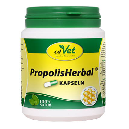 propolisherbal-100-kapseln--neu-_560_1.png