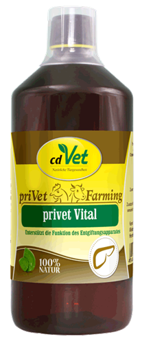 fb8ea5013f3ef3b1e67bbef491e464d99665fb47