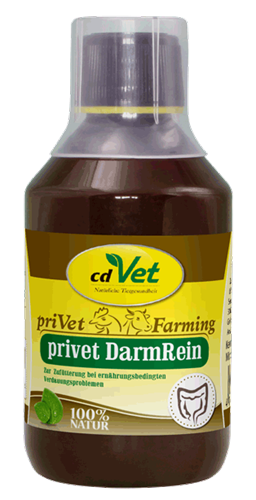 6d76c7dbbffa453f71f14f8ae12960c7cda7b6e4